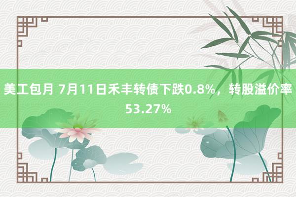 美工包月 7月11日禾丰转债下跌0.8%，转股溢价率53.27%