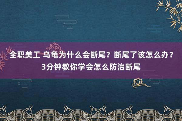 全职美工 乌龟为什么会断尾？断尾了该怎么办？3分钟教你学会怎么防治断尾